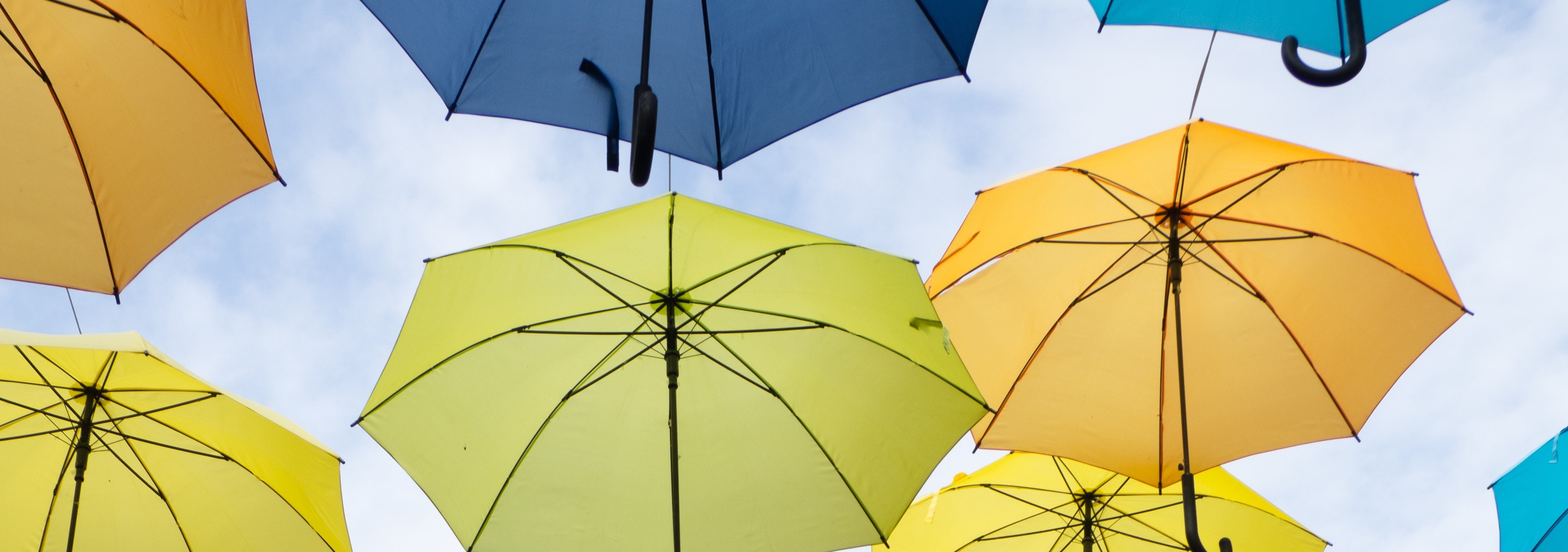 Umbrellas protect us from the rain and wind